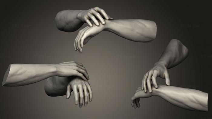 Анатомия скелеты и черепа (Мужские руки 722, ANTM_0839) 3D модель для ЧПУ станка